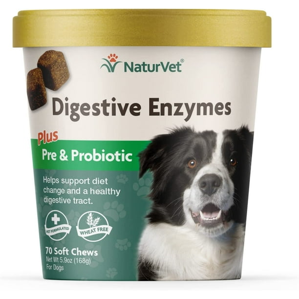 Healthy Probiotics and Digestive Enzyme Soft Chew Supplement for Dogs