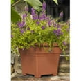 thumbnail image 1 of Bac à Plantes en Argile - 26145, 1 of 1