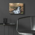 thumbnail image 5 of Epic Art 'Waterfall Steps at Pigeon Run' by Lori Deiter Acrylic Glass Wall Art, 16"x12", 5 of 8