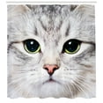 thumbnail image 3 of Ambesonne Animal Shower Curtain, Domestic Kitty Portrait, 69"Wx70"L, Multicolor, 3 of 3