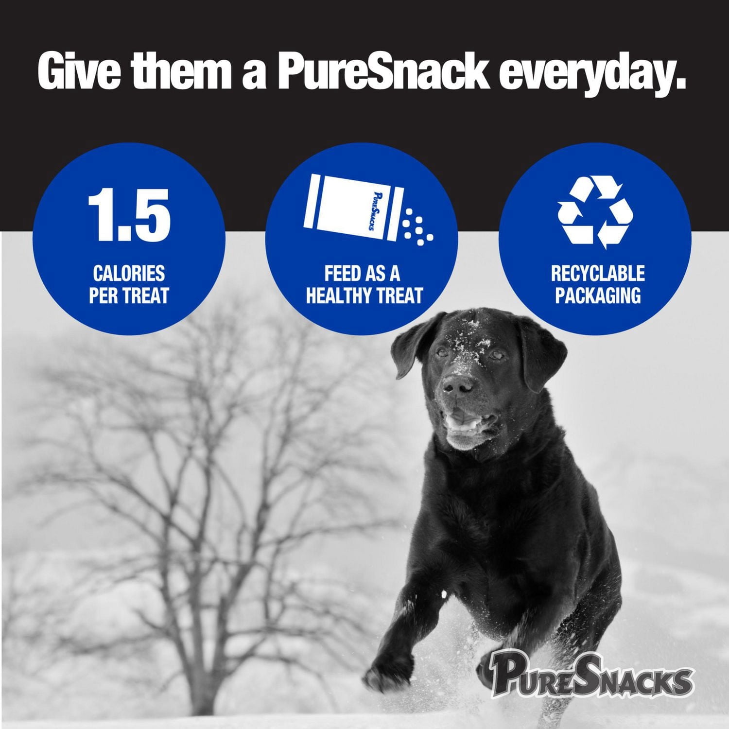 Mini-PureSnacks Air Dried Trainers, Tuna for Dogs 396g