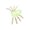 Light Green, variant on 10 Pcs Halloween Realistic Spiders Decoration,Small Plastic Fake Spider,Plastic Spider Mini Fake Halloween Realistic Decoration,Small Fake Spiders for Halloween Prank Props Decorations