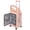 Pink, variant on Kids Ride-On Carry On Luggage, 20 Inch PC Hard Shell Suitcase with Front Opening Pocket, Built-in USB & Type-C Charging Port, TSA Lock, Spinner Wheels, Airline Approved Carry On Suitcase for