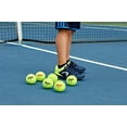 Penn Championship Tennis Balls Extra Duty Felt for Hard Court 24
