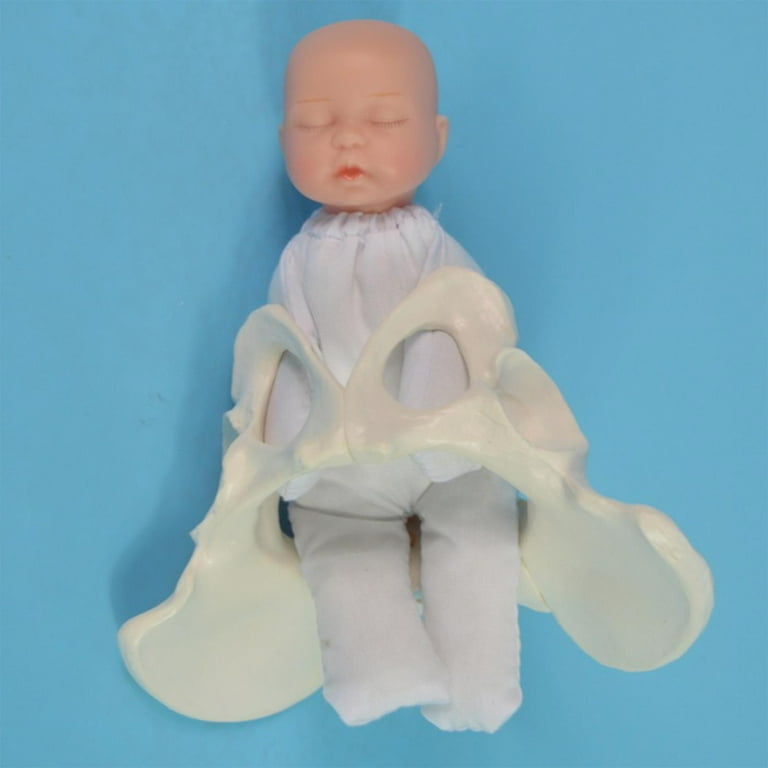 Walmart sales baby models