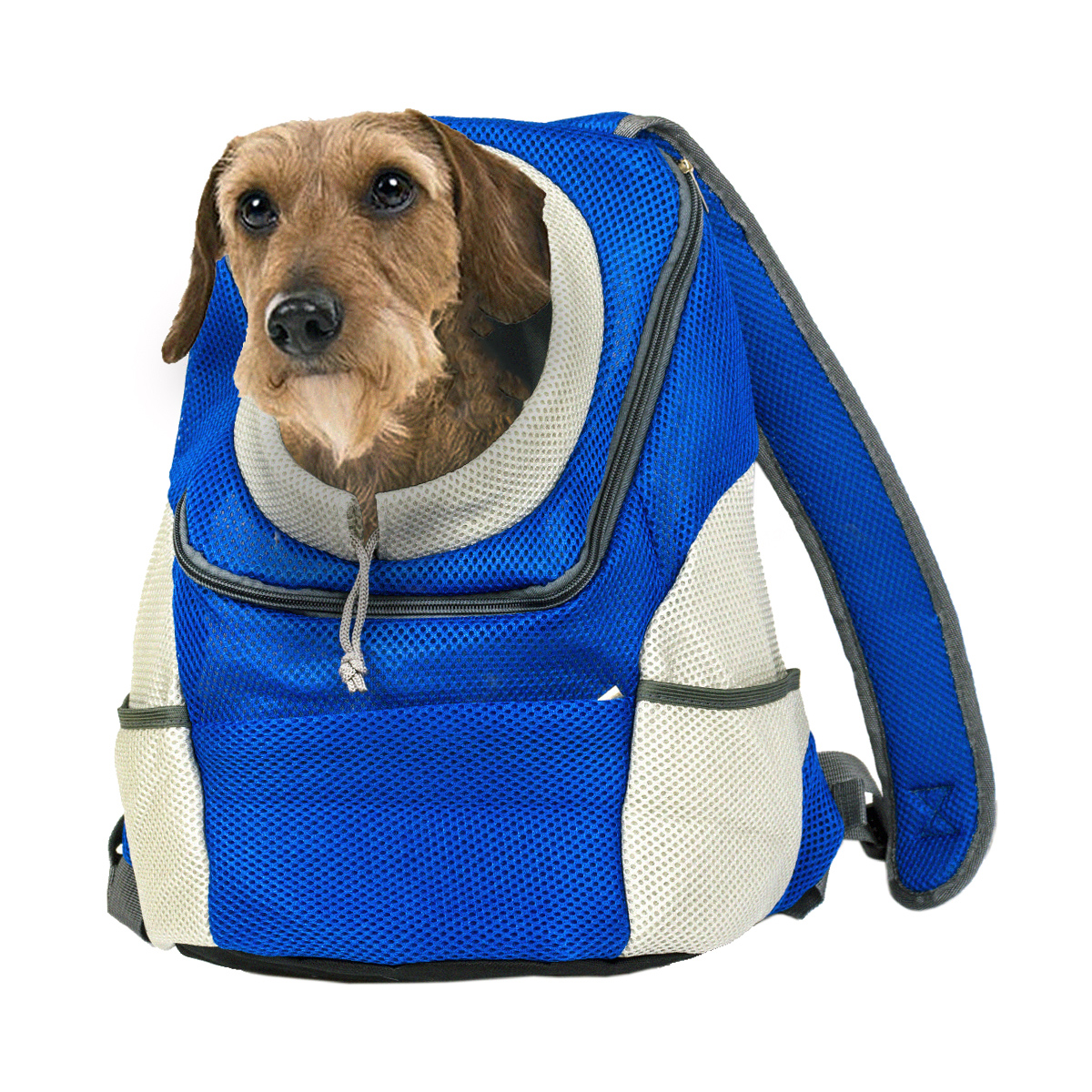 mesh pet backpack