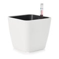 thumbnail image 2 of justharion Self Watering Plant Pots Automatic Water Solution for Bonsai Plants Square M, 2 of 8