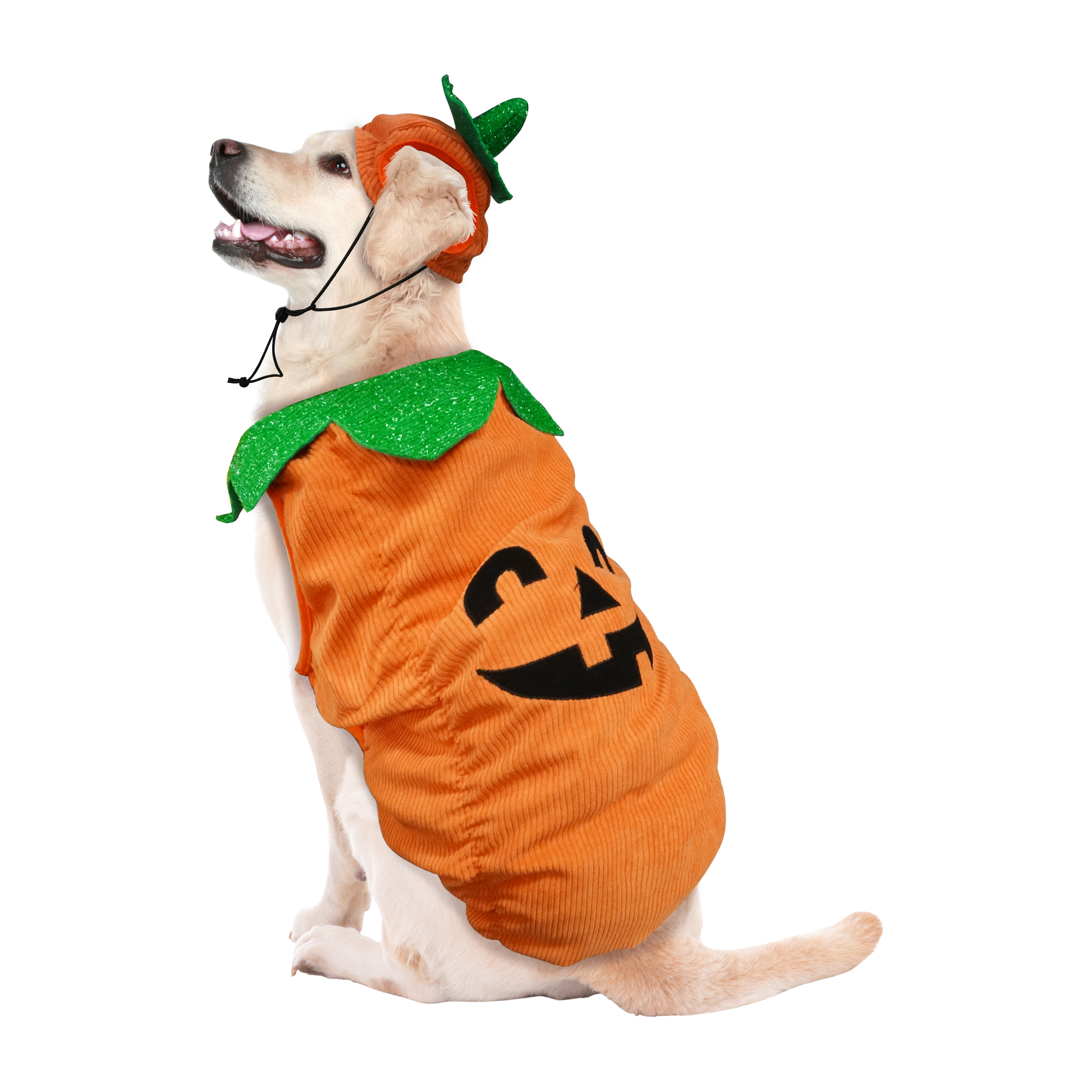 Best Furry Friends Costume for Dogs or Cats, Jack-O-Lantern Pumpkin, Large