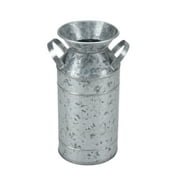 Galvanized Milk Jug with Handles for Home Flowers and Plants, Decoration, Lawn & Garden, Events