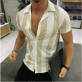 thumbnail image 2 of BOBOGOJP Chemise Hawaïenne pour Hommes Manches Courtes Boutonnée Mode Texturée Été Plage, YE1 TG, 2 of 5