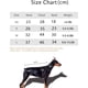 thumbnail image 3 of 4 Uds. Ropa para mascotas, suministros para mascotas, chaleco polar para perros pequeños 674, 3 of 5