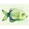 thumbnail image 3 of Popp, Grace 24x19 Black Modern Framed Museum Art Print Titled - Speckled Freshwater Fish II, 3 of 5