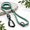 Florida Seaside-4 Feet, variant on Colorado Nightsky 4 Feet Explorer Climbing Rope Pet Leash With Autolocking Carabiner