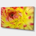 thumbnail image 2 of Smooth Yellow Red Flower Petals - Floral Canvas Art Print, 2 of 3