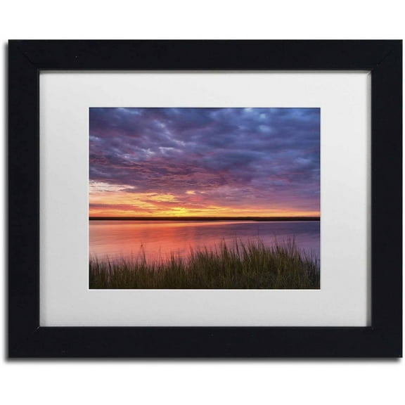 Trademark Fine Art 'Drama at the Marsh' Canvas Art by Michael Blanchette Photography, White Matte, Black Frame