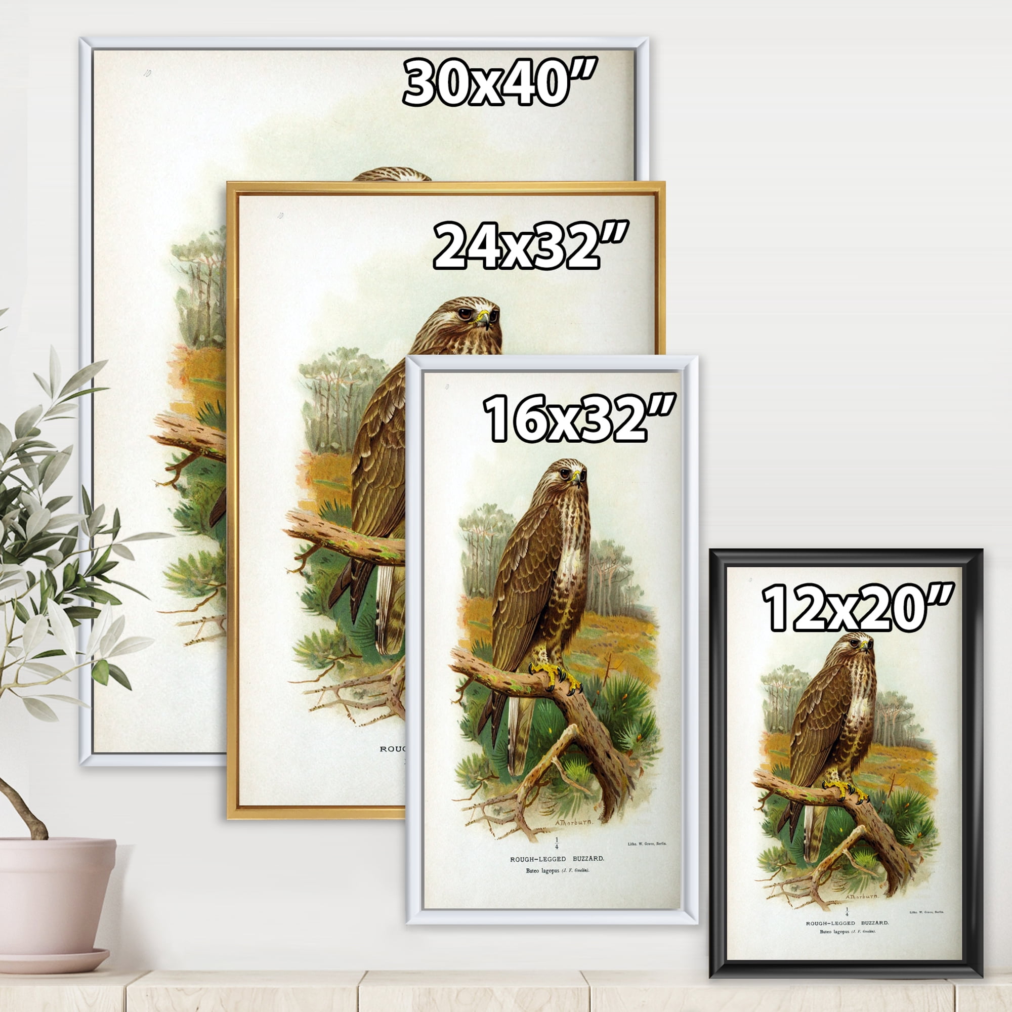 Designart 'Ancient Bird Life IX' Traditional Framed Canvas Wall Art Print