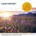 thumbnail image 5 of Metabolic Maintenance L-Tryptophan - 500 mg L-Tryptophan - Neurotransmitter Support - Hypoallergenic - 60 Servings - 60 Capsules, 5 of 5