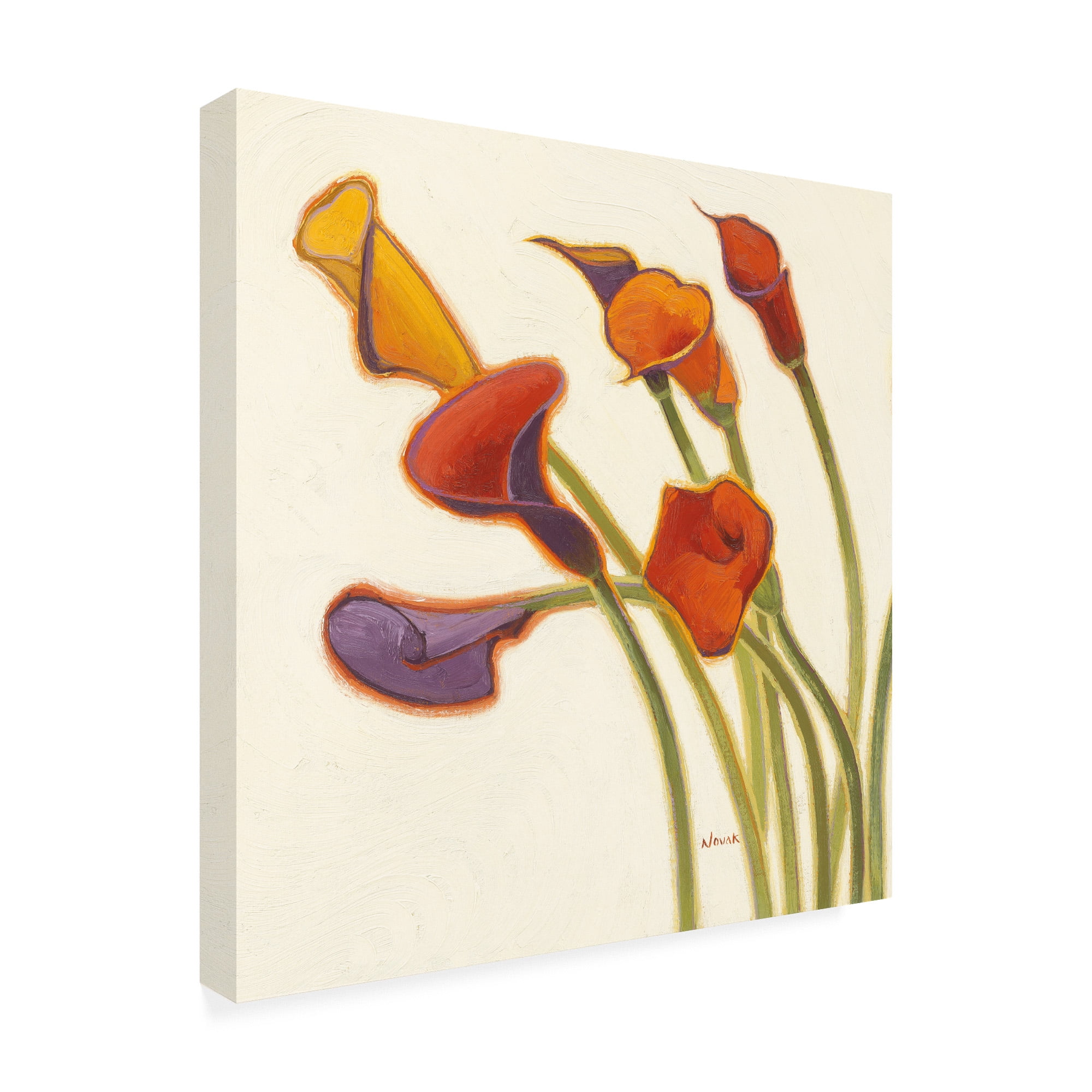 Trademark Fine Art Floral Canvas Art ' Callas in the Wind II ' by Shirley Novak