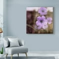 thumbnail image 3 of Trademark Fine Art 'Purple Tranquility II' Canvas Art by Emily Robinson, 3 of 4