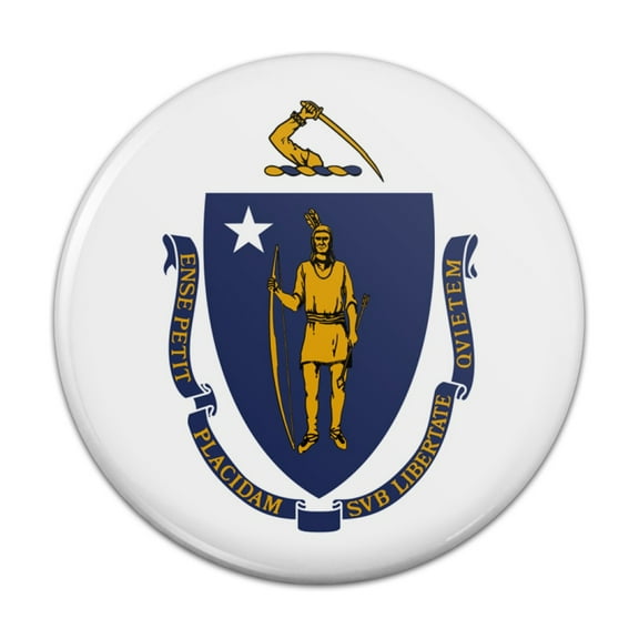 Massachusetts State Flag Pinback Button Pin