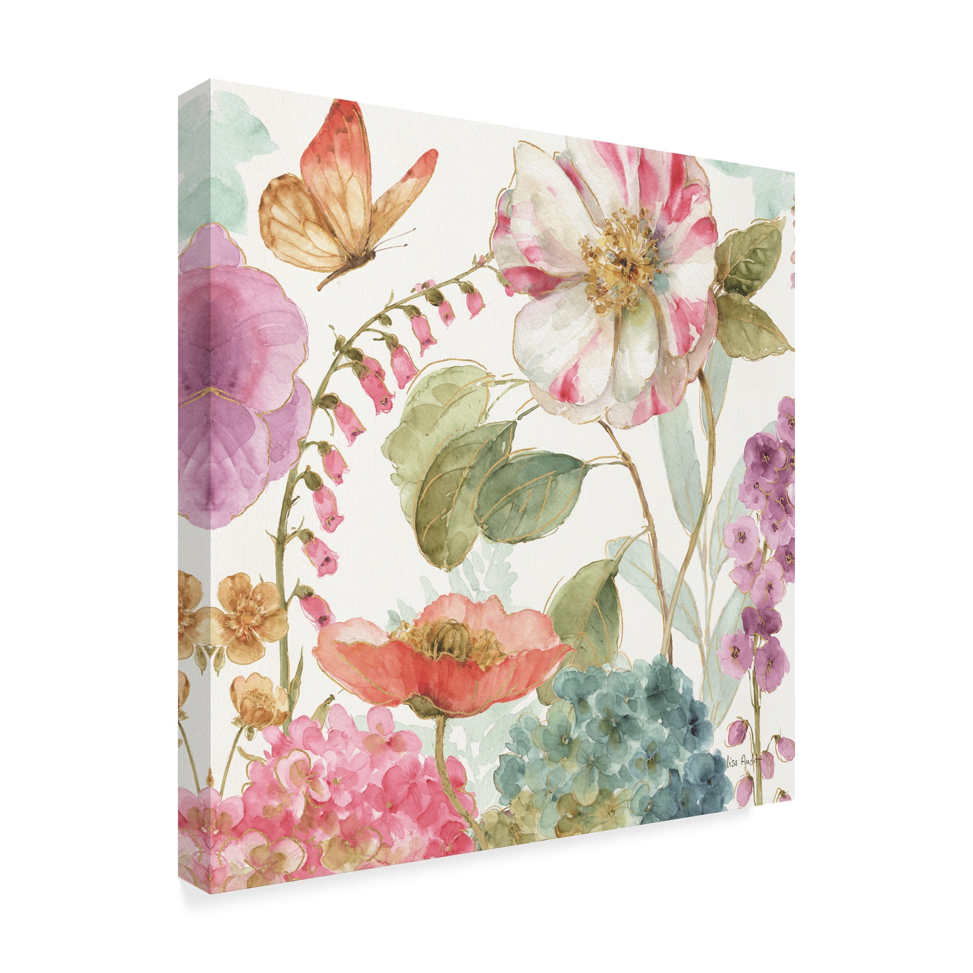 Trademark Fine Art 'Rainbow Seeds Flowers II' Canvas Art by Lisa Audit