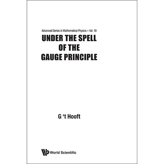 Advanced Mathematical Physics Under the Spell of the Gauge... (V19), Book 19, (Paperback)