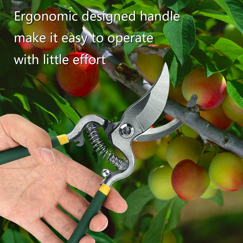 1Pc Sturdy Fruit Tree Bonsai Gardening Pruning Shear Garden Scissors Pruner Tool