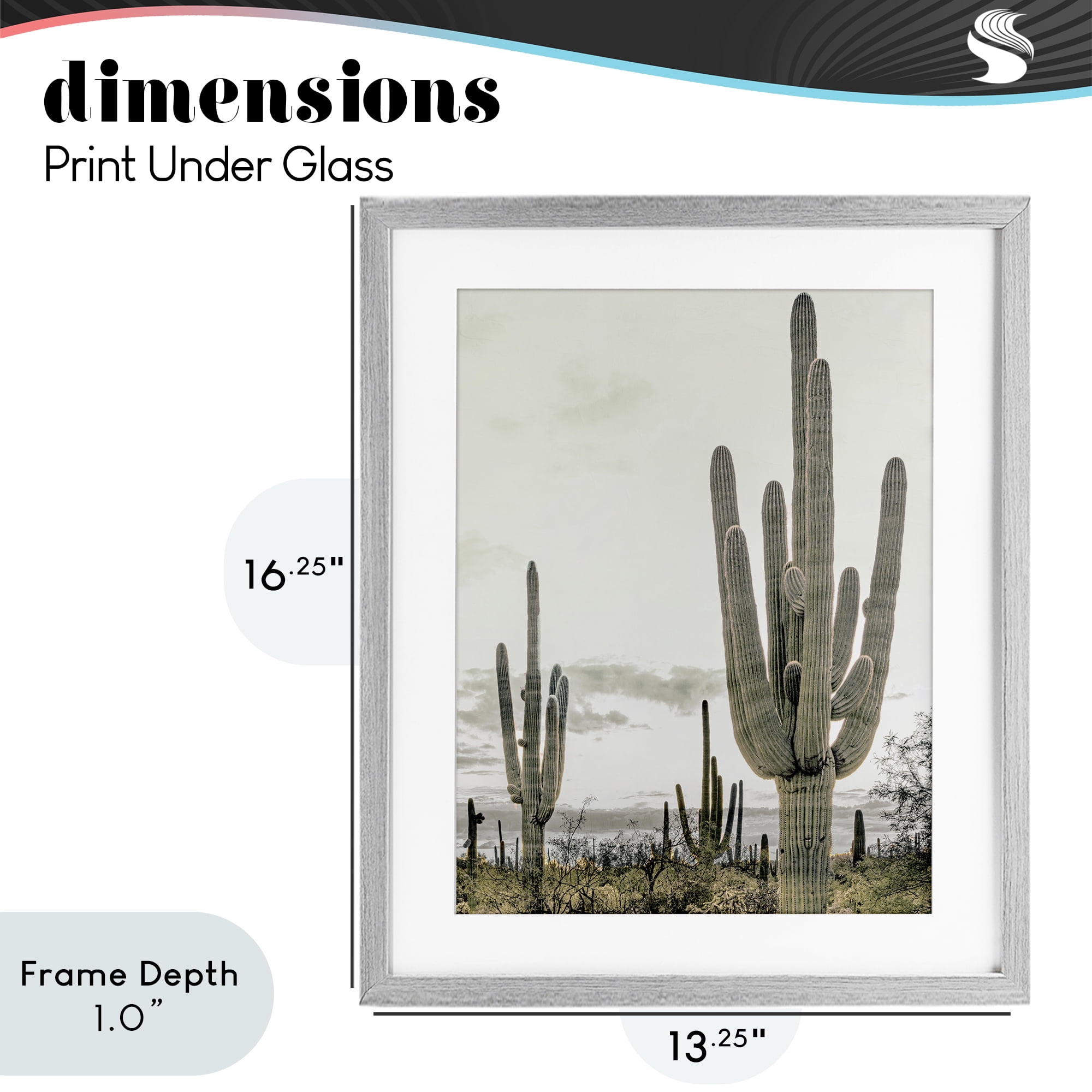 Stupell Industries Subdued Desert Cacti Gray Framed Print Under Glass, design by Kim Allen