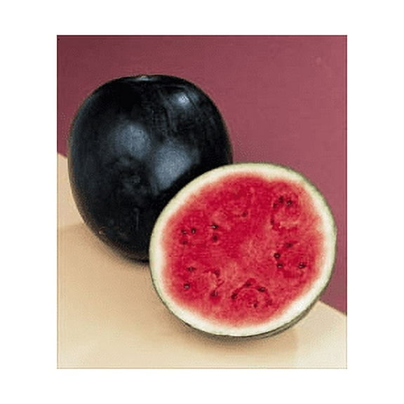 Watermelon Sugar Baby Bulk 2,000 Seeds Great Heirloom Garden Vegetable