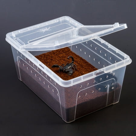 Reptile Feeding Box Snake Breeding Box Transparent Animal Habitat Cage ...