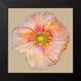thumbnail image 2 of Ludwig, Alicia 12x12 Black Modern Framed Museum Art Print Titled - Poppy Blossom I, 2 of 5
