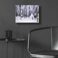 thumbnail image 5 of Epic Art 'White Muslin' by Philippe Sainte-Laudy, Acrylic Glass Wall Art, 16"x12", 5 of 8