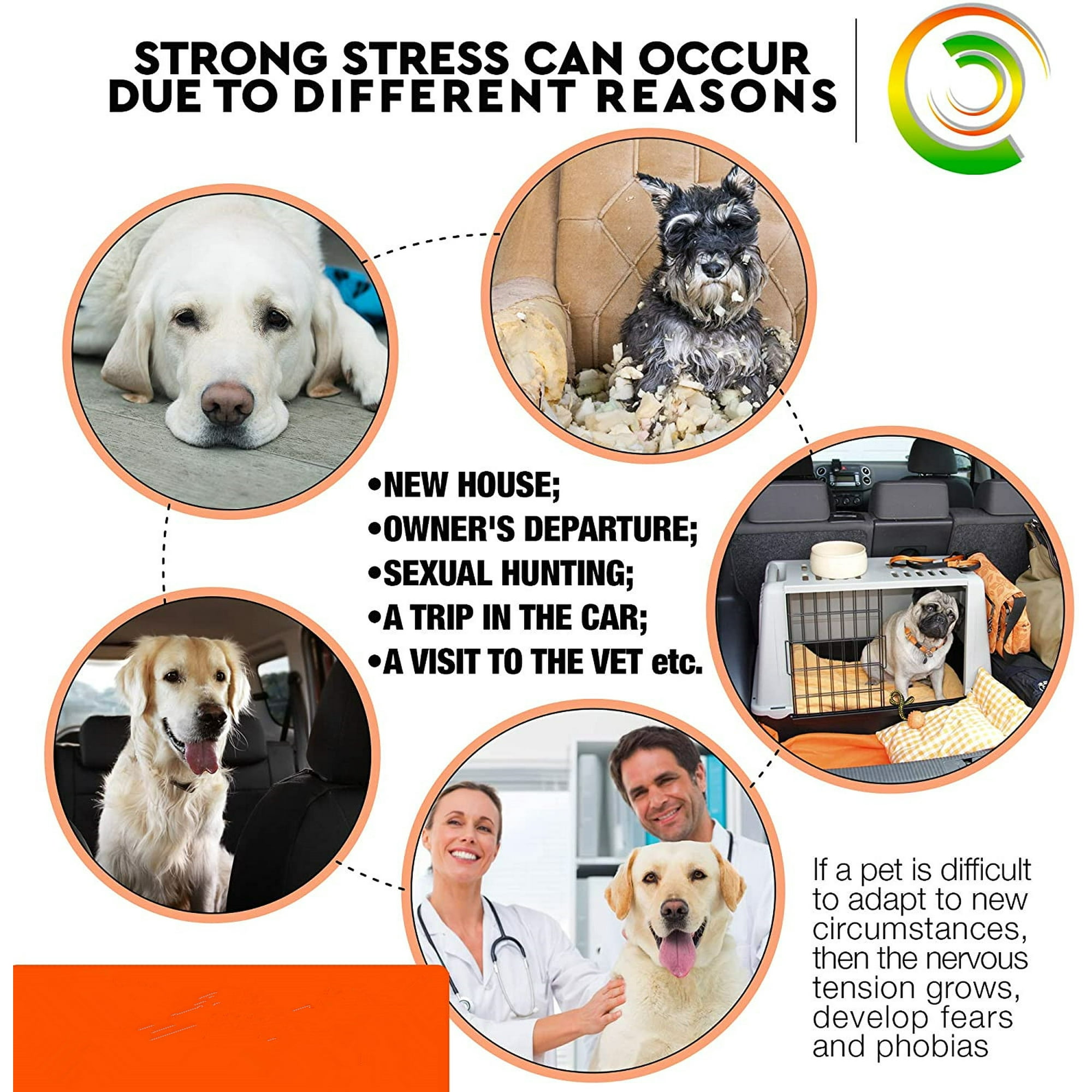 Anxiety collar dogs discount
