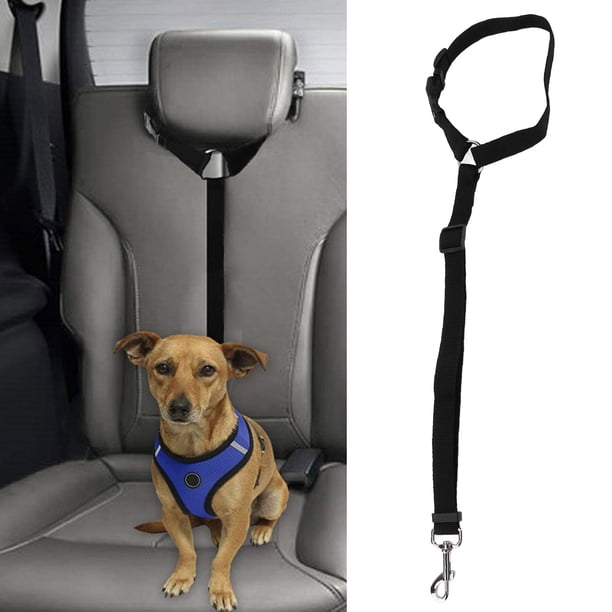 Arnés De Coche Para Perros, Cinturón De Seguridad Para Perros Fuerte Aplicabilidad Robusto Durable Operación Simple Ajustable Multifuncional Para Proteger Mascotas