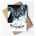 thumbnail image 1 of Animal Cool Gray Cat Photograph Wedding Cards Congratulations Greeting Envelopes, 1 of 3