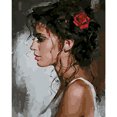 thumbnail image 1 of Cuadros Decorativos Chica pintura al óleo por números Kit DIY pintura acrílica sobre lienzo sin marco (B1851) Likrtyny embutido en tela, 1 of 9
