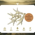 thumbnail image 2 of Oldfield Naturals Puffed Chicken Feet Dog Treats, Dehydrated Chicken Feet for Dogs, Light Crispy Chicken Chews, Single Ingredient High Protein Dog Snacks for Multi-Dog Homes, 3 Pcs, 2 of 6