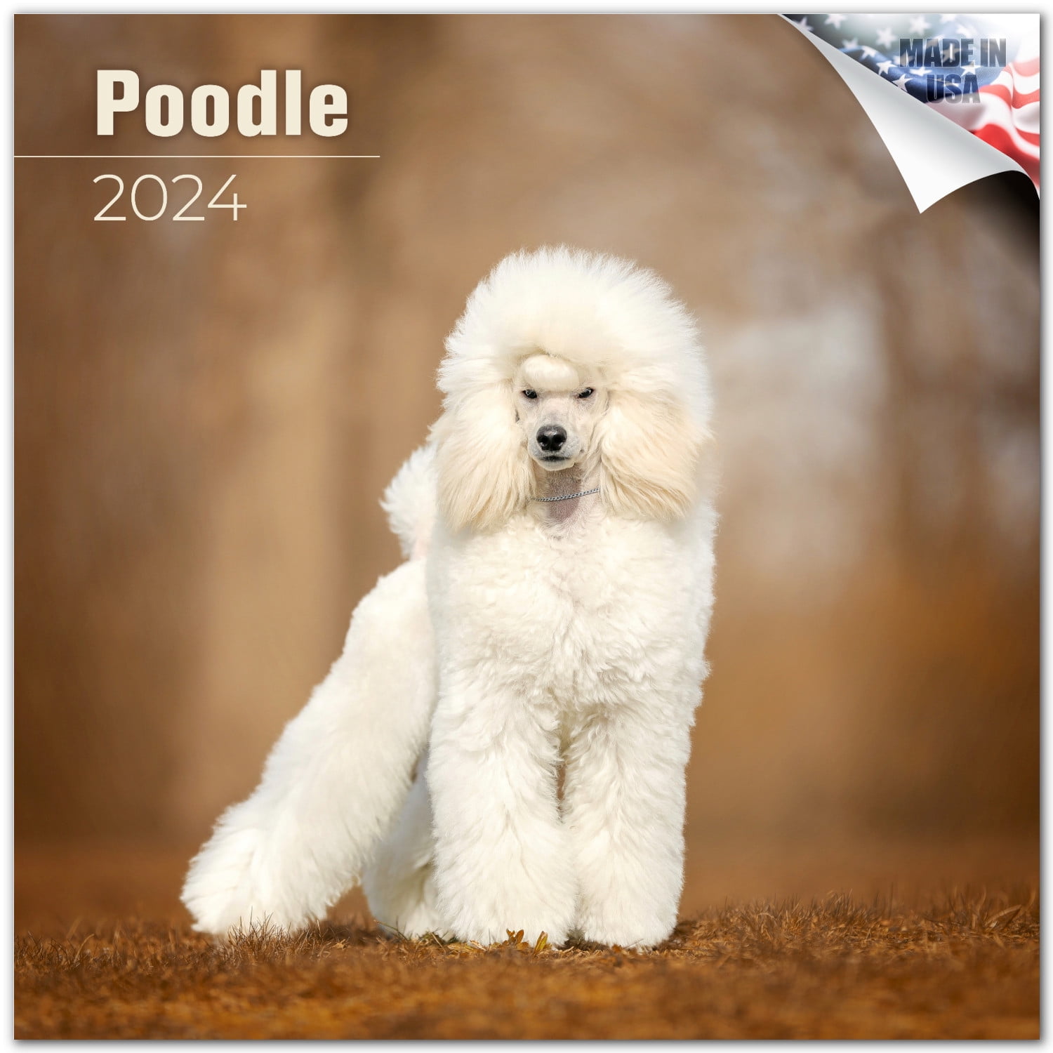 2023 2024 Poodle Calendar Dog Breed Monthly Wall Calendar 12 x 24