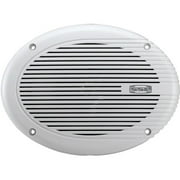 SOUNDSTORM H209 6" x 9" 2-Way Marine Speaker