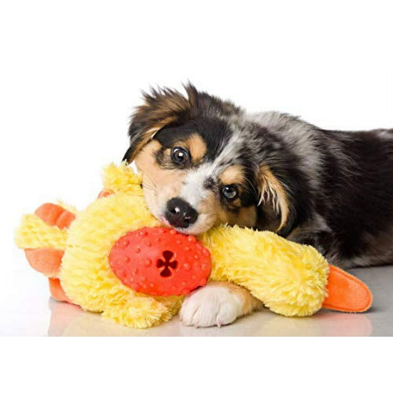 Hartz SQUEAK TREAT DOG TOY