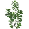thumbnail image 3 of Artificial Fiddle Leaf Fig Plant in Planter (Set of 2), 3 of 8