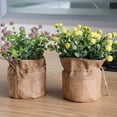 thumbnail image 4 of Yinreli Potted Plant Hemp Rope Bag Fresh Keeping Ornamental Vivid Imitation Potted Plant for Desktop, 4 of 8