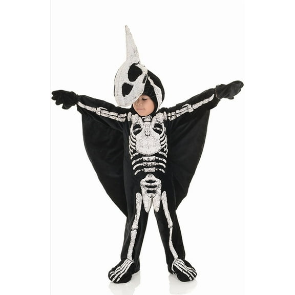Underwraps Pterodactyl Fossil Child Costume | Small Unisex