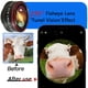 thumbnail image 2 of Lente de cámara de teléfono Boysinglens Fisheye 235° para iPhone Android, 2 of 7