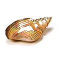 thumbnail image 1 of Grenade Rouge 573-1 Coquille de Conque 11.5 in. Plaque de Lustre d'Or, 1 of 1
