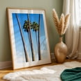 thumbnail image 6 of Tall Guardians - California Photography Palm Tree Tropical Nature Summer Minimalist Coastal Beach House Unframed Wall Art Print 12 x 18 inches, 6 of 60