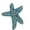 A, variant on Creative Starfishes Brooches Fashion Clothing Patches Detachable Dress Ornament for Personality Apparels