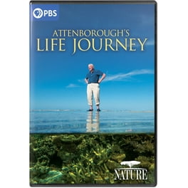 India: Natures Wonderland (DVD, 2016) 841887029698| eBay