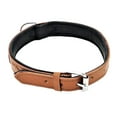 thumbnail image 5 of Soft Padded Genuine Leather Dog Collar for Medium and Large Breeds sz L: Neck 16" - 19", 5 of 5