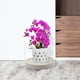 thumbnail image 4 of YSNOOWE Soporte Para Plantas Con Giratorias Base Fuerte Color Beige, 4 of 8